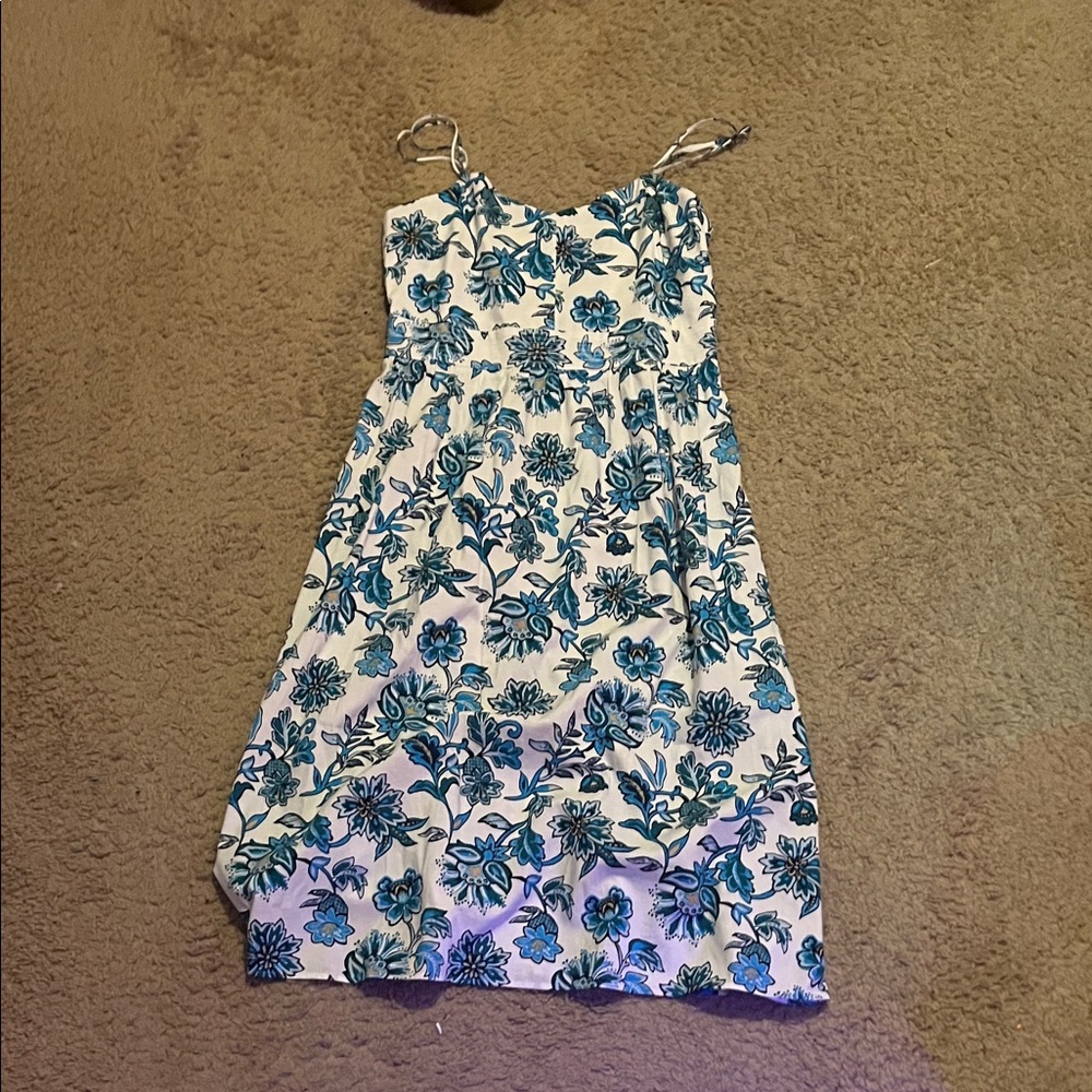 Ann Taylor Blue Floral Maxi Dress